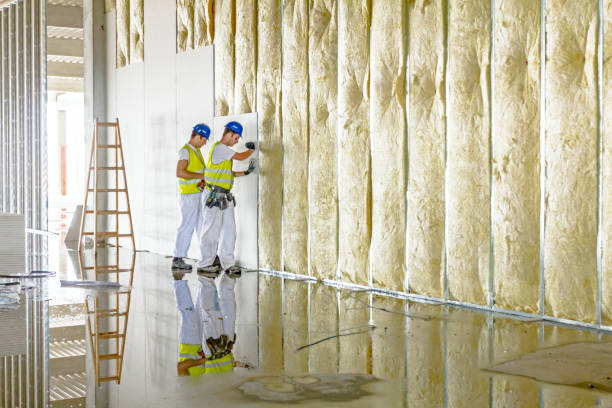 Best Types of Insulation in Ontonagon, MI